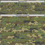Custom Camo Purple Neon Green Salute To Service Baseball Jersey Personalized Camo Purple-Neon Green Salute To Service Baseball