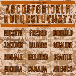 Custom Name Number Texas Camo Soccer Jersey Orange-Brown Sublimation Salute to Service Uniform Personalized Camo Texas Orange-Brown
