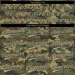 Custom Name Number Personalized Camo Softball Jersey Gold-Black Unisex Salute to Service Two-Button Design Personalized Camo