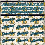 Personalized Blue-Black Panther 3D Dollar Sign Money Theme T-Shirt for Performance Personalized Cream Panther Blue-Black