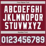 Custom Name Number Bomber Jacket Crimson White Navy Gray Varsity Letterman Full-Snap Two Tone Personalized Team Apparel Personalized