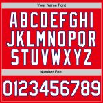 Custom Name and Number Authentic Baseball Jersey - Fire Red White-Royal Team Jersey Personalized Fire Red White-Royal Authentic