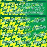Custom Name Number Varsity Bomber Jacket with 3D Gold Kelly Green-White Pattern Design Full-Snap Letterman Style Personalized