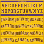 Custom Name and Number Personalized Gold Purple Basketball Jersey V-Neck for Team Personalized Gold Purple V-Neck Basketball