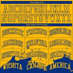Custom Name and Number Personalized Gold Basketball Jersey Suit Round Neck Sublimation Team Color Splash Personalized Gold