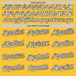 Custom Name Number Authentic Throwback Baseball Jersey Personalized Gold Black White Mesh Team Personalized Gold White-Black