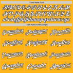 Custom Name Number Personalized Gold White-Navy Baseball Jersey - Authentic Team Apparel Personalized Gold White-Navy Authentic