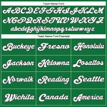 Custom Authentic Throwback Football Jersey - Personalized Team Name & Number in Grass Green, White, Black Mesh Personalized