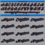 Custom Name Number Personalized Baseball Jersey Gray Black Light Blue Authentic Team Personalized Gray Black-Light Blue Authentic