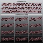 Custom Name and Number Personalized Gray and Black Medium Pink Fade Fashion Baseball Jersey - Authentic Team Apparel Personalized