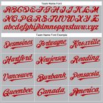 Custom Name and Number Authentic Baseball Jersey - Personalized Gray Black Pinstripe Red-White Design Personalized Gray Black