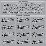 Custom Name Number Varsity Letterman Jacket Gray Black White Two Tone Bomber Full-Snap Womens Mens Personalized Gray Black-White