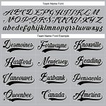 Custom Team Jersey with Personalized Name & Number - Gray Black-White Hockey Lace Neck Personalized Gray Black-White Hockey