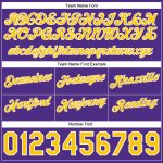 Custom Name Number Basketball Shorts Gray Gold-Purple Authentic Throwback Split Style Team Apparel Personalized Gray Gold-Purple
