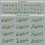 Custom Team Name Number Personalized Gray Green Cream Bomber Varsity Full-Snap Letterman Jacket Personalized Gray Green-Cream