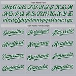 Custom Name and Number Authentic Baseball Jersey - Personalized Gray Green-White Line Design Personalized Gray Green-White