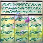 Custom Name Number Baseball Jersey Personalized 3D Pattern Flowers Butterfly Gray Kelly Green White Design Personalized Gray