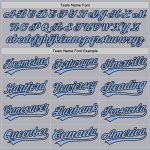 Custom Name Number Unisex Softball Jersey Two-Button Gray Light Blue Black Personalized Team Apparel Personalized Gray Light