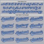 Custom Name and Number Unisex Softball Jersey - Personalized Gray Light Blue-Navy Two-Button Design Personalized Gray Light