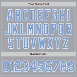 Custom Team Name Number Varsity Letterman Jacket Gray Light Blue White Bomber Full-Snap Two Tone Personalized Gray Light