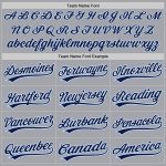 Custom Personalized Baseball Jersey - Gray Navy Light Blue with Name and Number Personalized Gray Navy-Light Blue Authentic