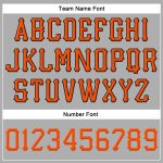 Custom Name Number Adjustable Snapback Hat Personalized Gray Orange Black Stitched Team Merchandise Personalized Gray Orange-Black