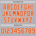 Custom Personalized Baseball Jersey with Team Name and Number - Gray Orange White Mesh Authentic Throwback Personalized Gray