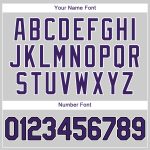 Personalized Gray Black Purple Baseball Jersey for Men and Women Authentic Personalized Gray Purple-Black Authentic Baseball