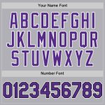 Custom Gray Purple-Black Mesh Authentic Baseball Jersey with Personalized Name and Number - Team Spirit Wear Personalized