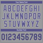 Custom Personalized Team T-Shirt with Name and Number - Gray Purple-Black Performance Shirt Personalized Gray Purple-Black