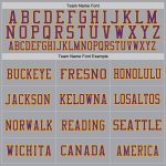 Custom Name and Number Personalized Gray Purple Gold Football Jersey - Authentic Team Gear Personalized Gray Purple-Gold