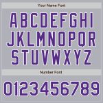 Custom Name and Number Gray Purple Pinstripe Softball Jersey Unisex Two-Button Design Personalized Gray Purple Pinstripe