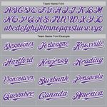 Custom Team Name Number Personalized Gray Purple White Baseball Jersey Personalized Gray Purple-White Authentic Baseball