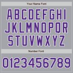 Custom Team Name Number Personalized Gray Purple White Baseball Jersey Personalized Gray Purple-White Authentic Baseball