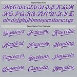 Custom Name and Number Authentic Baseball Jersey - Personalized Gray Purple-White Line Design Personalized Gray Purple-White