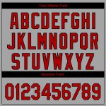 Custom Name Number Baseball Jersey - Personalized 3D Pattern Dart Board Target Gray Red Black Design Personalized Gray Red-Black