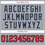 Custom Gray Red Navy Baseball Jersey for Men and Women Personalized Gray Red-Navy Baseball Jersey