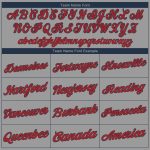 Custom Team Performance T-Shirt with Personalized Name and Number - Gray Red-Navy Personalized Gray Red-Navy Performance