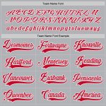 Custom Team Hockey Jersey - Personalized Gray Red White with Name and Number Personalized Gray Red-White Hockey Jersey Team
