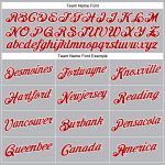 Custom Name and Number Performance T-Shirt in Gray Red-White for Team Wear Personalized Gray Red-White Performance T-Shirt