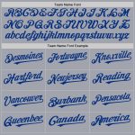 Custom Name and Number Personalized Gray Royal Baseball Jersey - Authentic Sleeveless Team Apparel Personalized Gray Royal