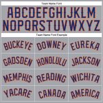 Custom Name Number Personalized Gray Orange Baseball Jersey Sleeveless Authentic Team Personalized Gray Royal-Orange Authentic