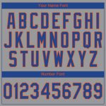 Custom Team Name & Number Gray Royal-Orange Performance T-Shirt - Personalized Sports Apparel Personalized Gray Royal-Orange