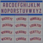 Custom Team Name & Number Gray Royal-Orange Performance T-Shirt - Personalized Sports Apparel Personalized Gray Royal-Orange
