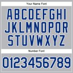 Custom Name and Number Authentic Baseball Jersey - Personalized Gray Royal Pinstripe Design Personalized Gray Royal Pinstripe