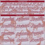 Custom Name and Number Authentic Baseball Jersey - Personalized 3D Gray Silver-Cardinal Giraffe and Snake Design Personalized