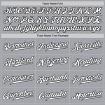 Custom Name and Number Authentic Baseball Jersey - Personalized Gray Black and White Team Apparel Personalized Gray White-Black