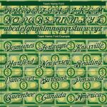 Custom Name and Number Personalized 3D Pattern Green City Cream Dollar Banknote Money T-Shirt Performance Personalized Green