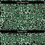 Custom Name Number Green City Leopard Print 3D Bomber Varsity Letterman Jacket for Teams Personalized Green City Cream Leopard