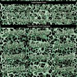 Custom Name Number Green City Leopard Print 3D Bomber Varsity Letterman Jacket for Teams Personalized Green City Cream Leopard